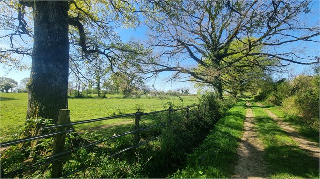 Liaison VTT (L3) Mantenay Montlin - Ferme de la Forêt - GBA