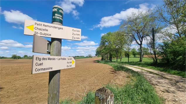 Circuit VTT-VTC n°25 (rouge) Comté de Montrevel - Domaine du Sougey_Montrevel-en-Bresse - scalland
