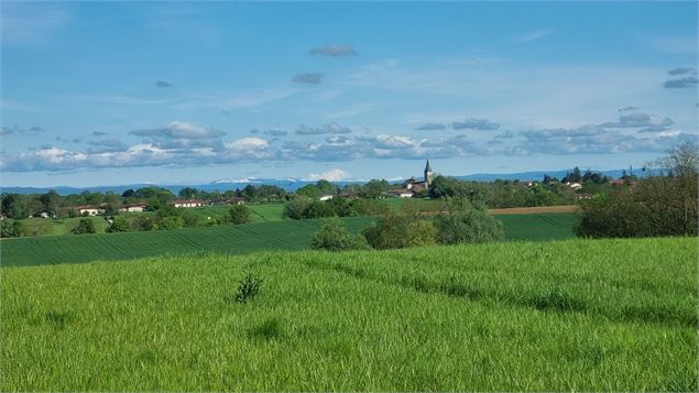 Circuit VTT-VTC n°25 (rouge) Comté de Montrevel - Domaine du Sougey_Montrevel-en-Bresse - scalland