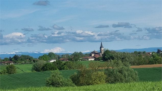 Circuit VTT-VTC n°25 (rouge) Comté de Montrevel - Domaine du Sougey_Montrevel-en-Bresse - scalland