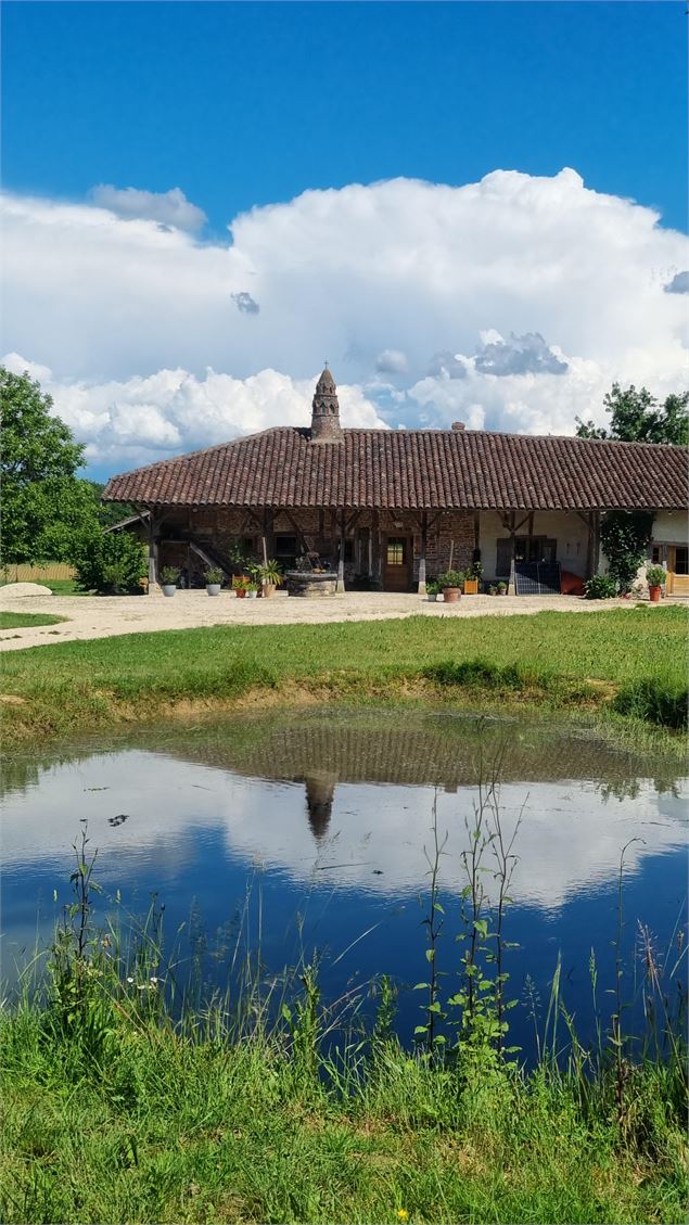 Circuit VTT-VTC n°26 (noir)_Tour de St Didier d'Aussiat - GBA