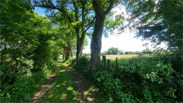 Circuit VTT-VTC n°26 (noir)_Tour de St Didier d'Aussiat - GBA