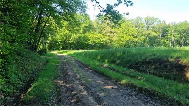 Circuit VTT n°24 (rouge) - La St Martin - GBA