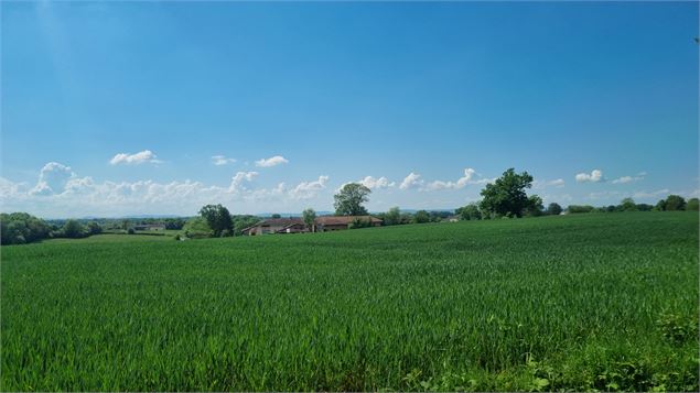 Circuit VTT n°24 (rouge) - La St Martin - GBA