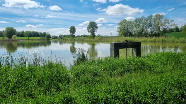 Circuit VTT-VTC n°27 (noir) - Les domaines de Bresse_Montrevel-en-Bresse - scalland