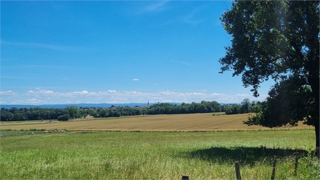 Circuit VTT-VTC n°13 (rouge)  - Les chemins de St Jean - scalland