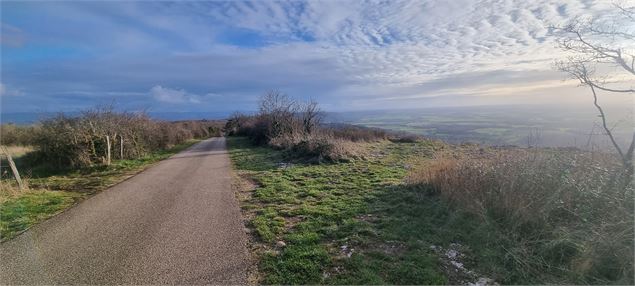 Circuit VTT n°19 (rouge) Montagne des Conches - Vallée sèche Drom-Ramasse - scalland