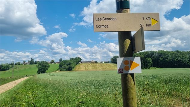 Circuit VTT-VTC n°28 (rouge) - Grand tour de Mépillat - Terres fortes de Cormoz_Saint-Nizier-le-Bouc