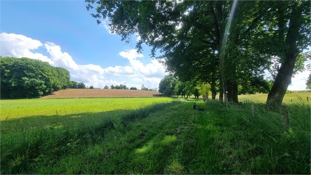 Circuit VTT-VTC n°28 (rouge) - Grand tour de Mépillat - Terres fortes de Cormoz_Saint-Nizier-le-Bouc