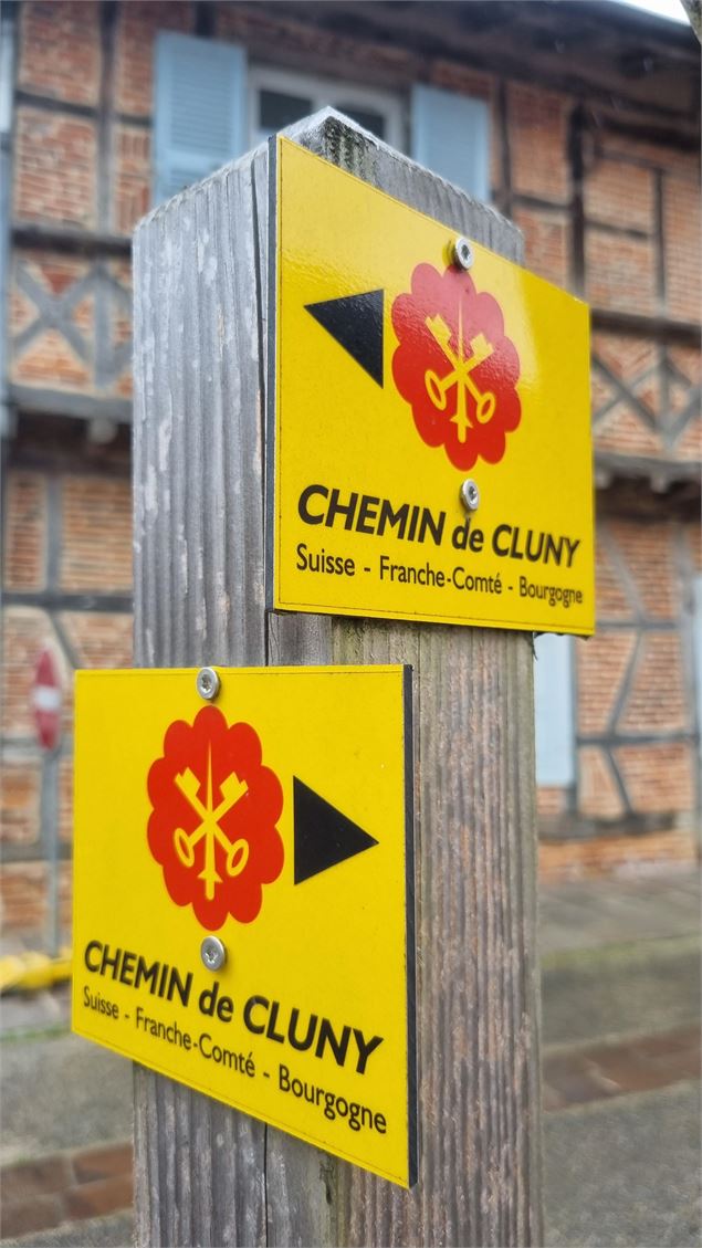 Liaison VTT-VTC (L5) St Trivier de Courtes - Romenay - scalland