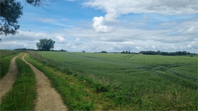 Liaison VTT-VTC (L5) St Trivier de Courtes - Romenay - scalland