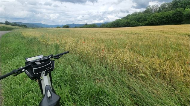 Liaison VTT (L2) Ceyzériat - Ile Chambod Gorges de l'Ain - scalland