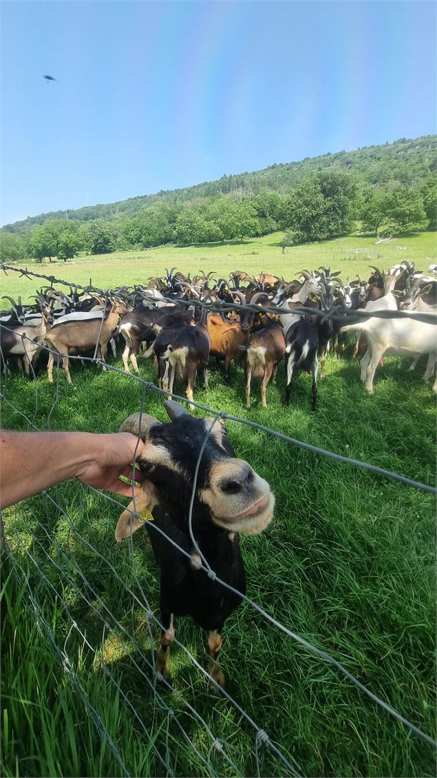 Liaison VTT (L4) Simandre sur Suran - Cize (Suran-Ain) - scalland