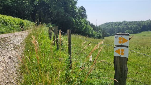 Liaison VTT (L4) Simandre sur Suran - Cize (Suran-Ain) - scalland