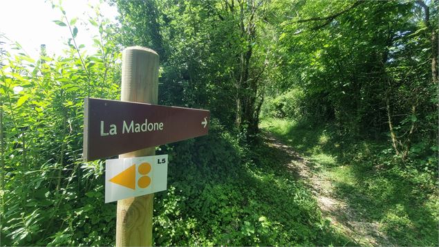 Liaison VTT (L5) Ile Chambod - Corveissiat par Gd Corent, la route des crêtes - scalland