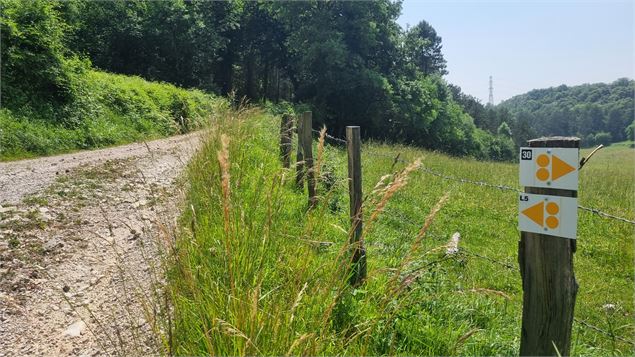 Liaison VTT (L5) Ile Chambod - Corveissiat par Gd Corent, la route des crêtes - scalland
