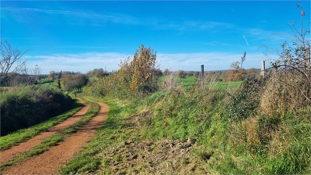 Liaison VTT-VTC (L7) St Trivier de Courtes - Dunes de Sermoyer - S Tournier CDAin