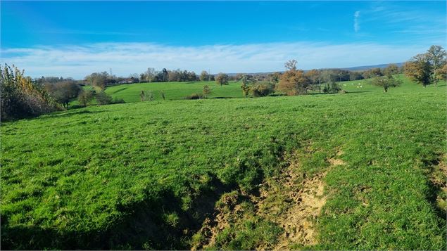 Liaison VTT-VTC (L7) St Trivier de Courtes - Dunes de Sermoyer - S Tournier CDAin