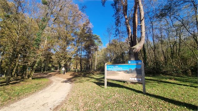 Liaison VTT-VTC (L7) St Trivier de Courtes - Dunes de Sermoyer - S Tournier CDAin