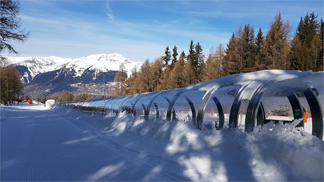 Tapis des Petits Loups - Philippe Gal