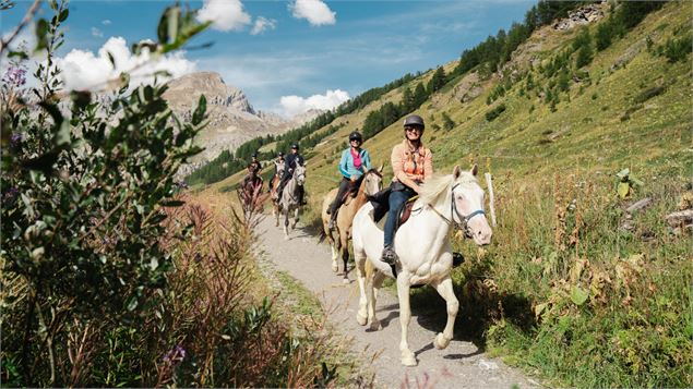 Centre équestre, promenade en groupe - Yann Allegre
