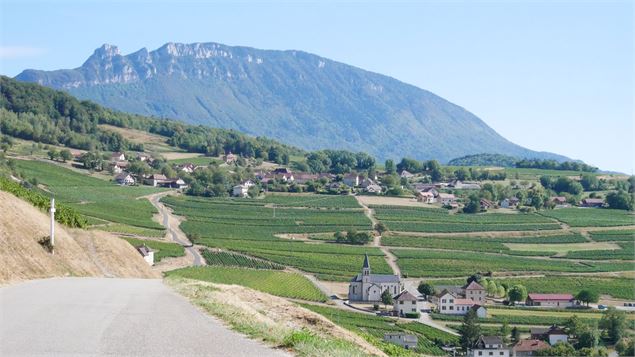 Le vignoble de Jongieux, un paysage à déguster à vélo - Henri De Caevel