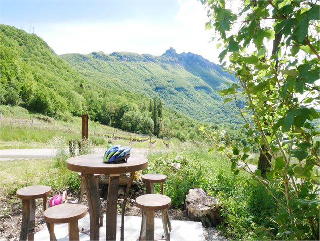 Le vignoble de Jongieux, un paysage à déguster à vélo - Henri De Caevel