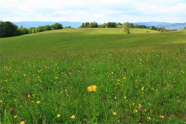 La Corniche du Valromey - M.Ballet