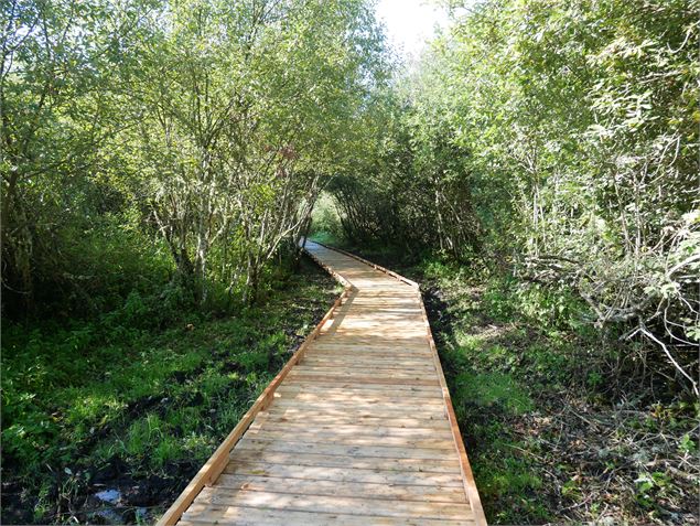 Ponton - Jérôme Pruniaux agence ARGO Haut-Bugey Tourisme
