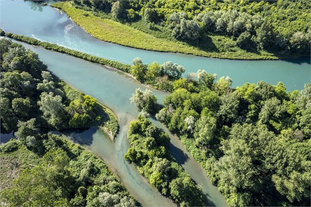Réserve Naturelle Régionale du Haut Rhône Français - Denis Palanque