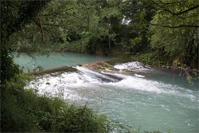 Réserve Naturelle Régionale du Haut Rhône Français - Denis Palanque