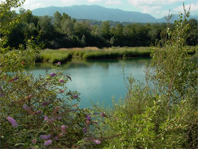 Photo reserve naturelle - Pierre Thiriet