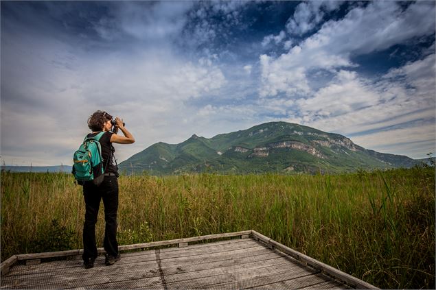 Le Grand Colombier du Marais de Lavours - Département de l'Ain