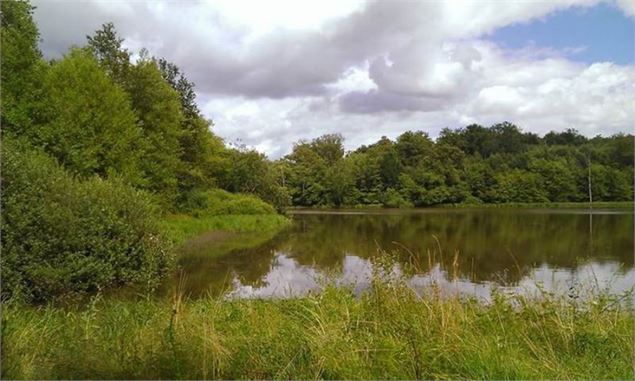 Etang et marais des Paccauds, ENS de l'Ain