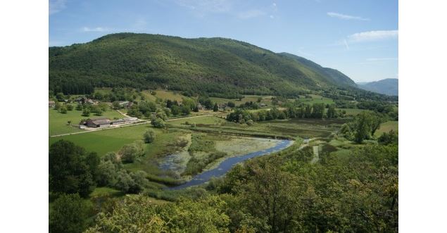 Lac de Millieu et marais du Vernay - Bernard Vivier