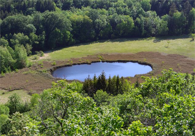 Tourbière de Cerin - M.Périno