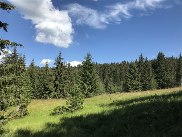 Plateau de Loëx - Praz de Lys Sommand Tourisme