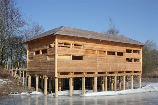 Observatoire au bord de l'Etang Chapelier - D. Gillet/Avenir Dombes Saône