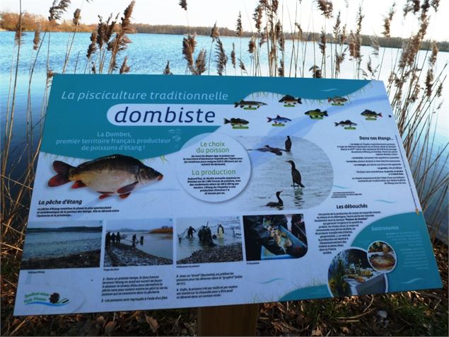 Panneaux d'information au bord de l'Etang Chapelier - D. Gillet/Avenir Dombes Saône