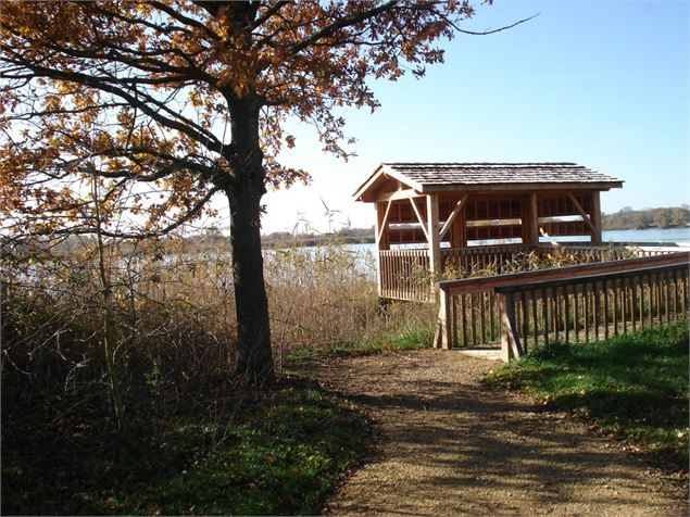 Observatoire de l'Etang Turlet - Dombes Tourisme