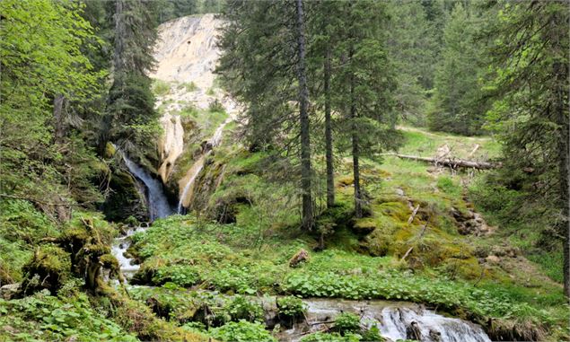 Les Fontaines Jaunes - RDDM