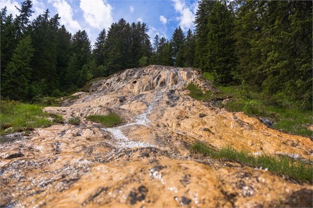 Les Fontaines Jaunes_Morgins - RDDM