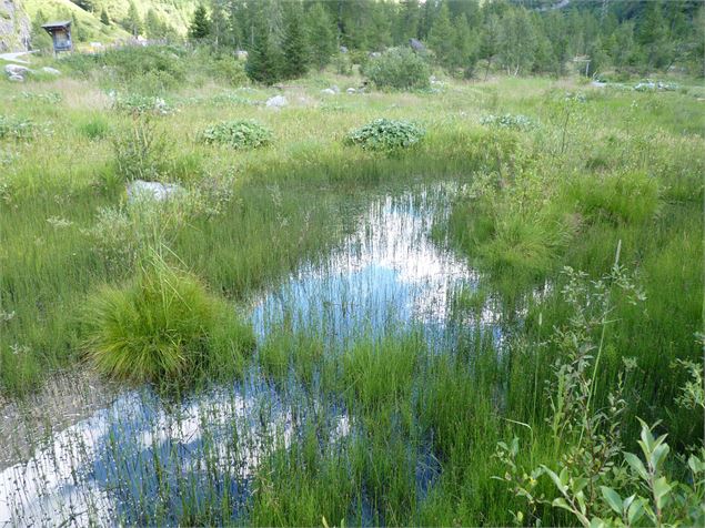 Gouilles de Bonatchiesse