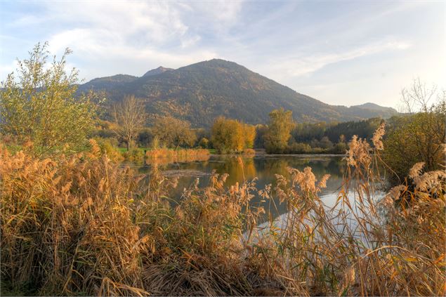Lac du Môle_Ville-en-Sallaz - Mole & Brasses Tourisme