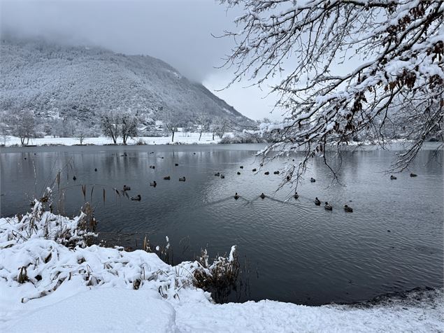 Lac du Môle_Ville-en-Sallaz - Mole & Brasses Tourisme