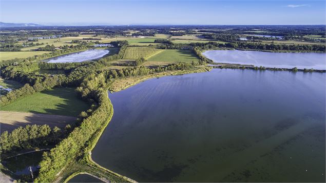 Vue aérienne des étangs de la Dombes - ©Arcom Design