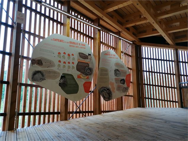 Dinoplagne® : panneaux d'interprétation - Dinoplagne®