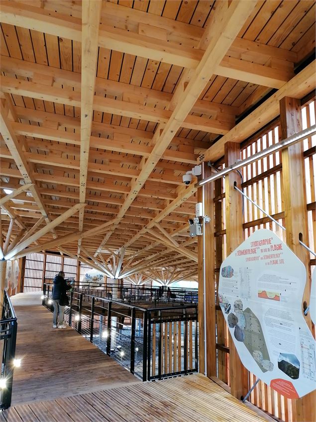 Dinoplagne® : canopée - Dinoplagne®