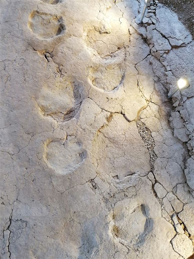 Dinoplagne® : empreintes - Dinoplagne®