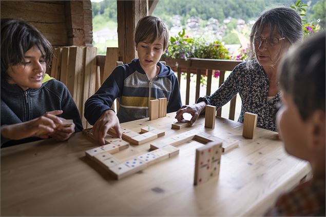 La Source - Le Grand-Bornand - T. Vattard